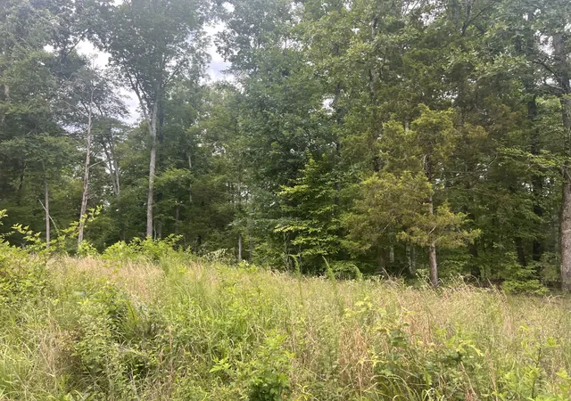 2nd image of 5 Lakeview Dr, Linden, TN 37096 | MLS# 3270582
