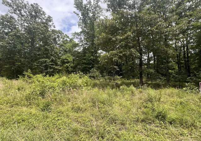 3rd image of 5 Lakeview Dr, Linden, TN 37096 | MLS# 3270582