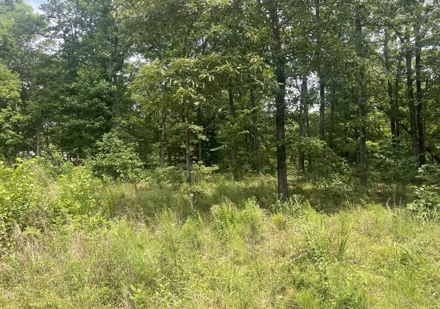 4th image of 5 Lakeview Dr, Linden, TN 37096 | MLS# 3270582
