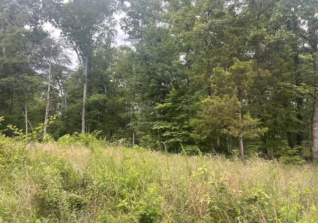 2nd image of 6 Lakeview Dr, Linden, TN 37096 | MLS# 3270563