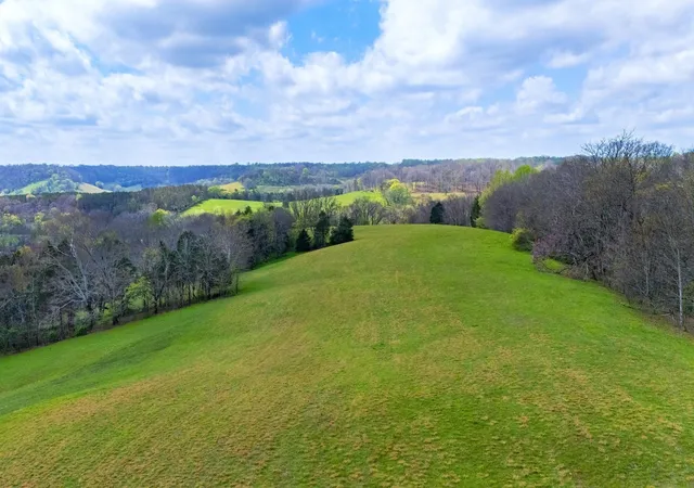 Photo 3 of Land for sale at 2882 Yokley Rd, Lynnville, TN 38472 | MLS# 3288159 | Listing updated on 2026-07-20