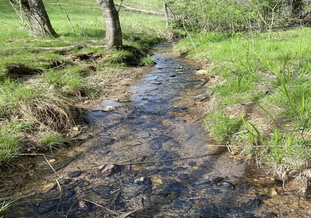 Photo 4 of Land for sale at 2882 Yokley Rd, Lynnville, TN 38472 | MLS# 3288159 | Listing updated on 2026-07-20