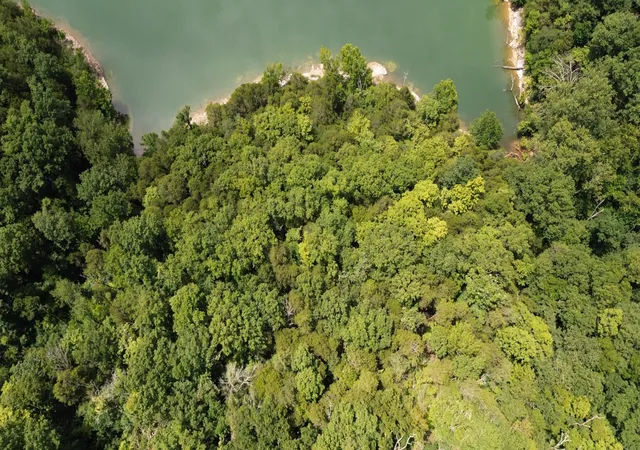 4th image of 0 Aqua View Dr, Silver Point, TN 38582 | MLS# 3278616