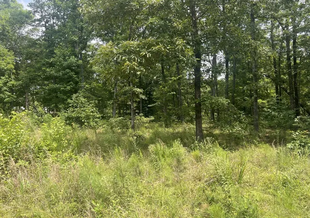 1st image of 9 Lakeview Dr, Linden, TN 37096 | MLS# 3270590