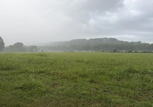 3rd image of 4027 Panhandle Rd, Wartrace, TN 37183 | MLS# 3272316