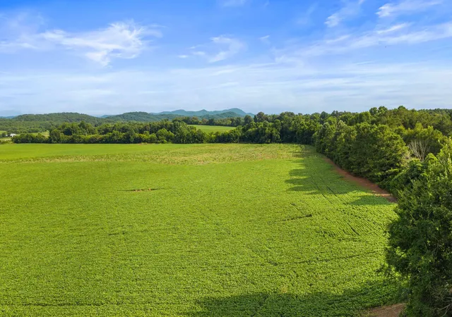 3rd image of 1738 Hwy 411, Oldfort, TN 37362 | MLS# 3270586
