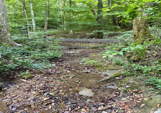 70th image of 1380a Cheatham Dam Rd, Ashland City, TN 37015 | MLS# 3271040