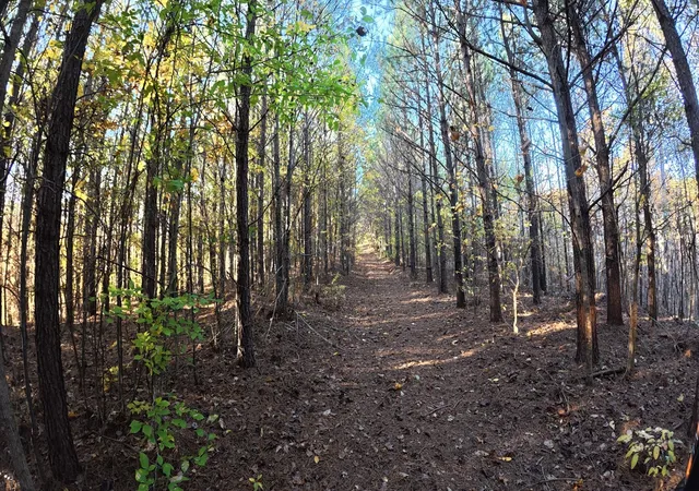 Photo 3 of Land for sale at 191 Vista Dr, Linden, TN 37096 | MLS# 3281408 | Listing updated on 2026-08-20