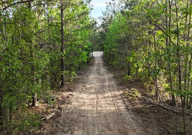 Photo 3 of Land for sale at 191 Vista Dr, Linden, TN 37096 | MLS# 3281408 | Listing updated on 2026-08-20