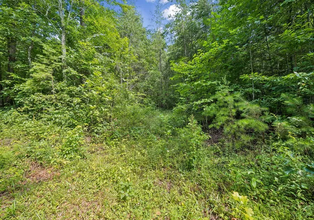 2nd image of 0 Ridge Road, Lancing, TN 37770 | MLS# 3271198