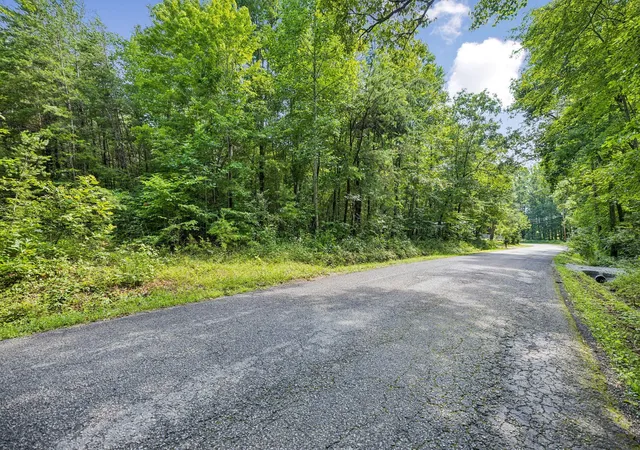 5th image of 0 Ridge Road, Lancing, TN 37770 | MLS# 3271198
