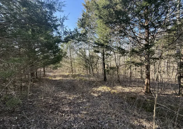 1st image of 0 Grays Chapel Rd, Southside, TN 37171 | MLS# 3271966
