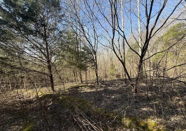 2nd image of 0 Grays Chapel Rd, Southside, TN 37171 | MLS# 3271966