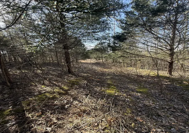 3rd image of 0 Grays Chapel Rd, Southside, TN 37171 | MLS# 3271966