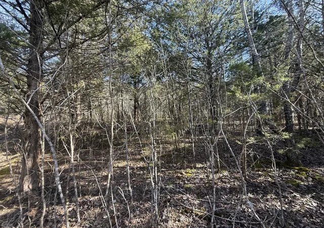4th image of 0 Grays Chapel Rd, Southside, TN 37171 | MLS# 3271966