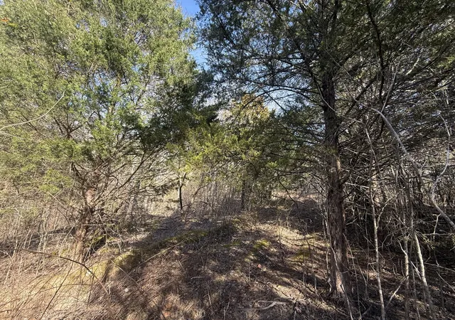 5th image of 0 Grays Chapel Rd, Southside, TN 37171 | MLS# 3271966