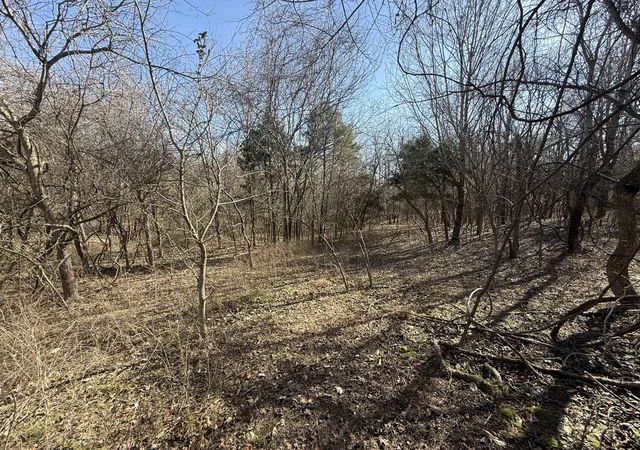 1st image of 0 Epps Rd, Southside, TN 37171 | MLS# 3271964