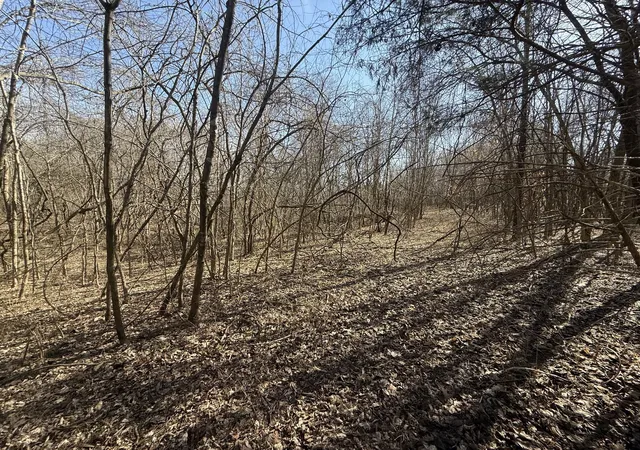 2nd image of 0 Epps Rd, Southside, TN 37171 | MLS# 3271964