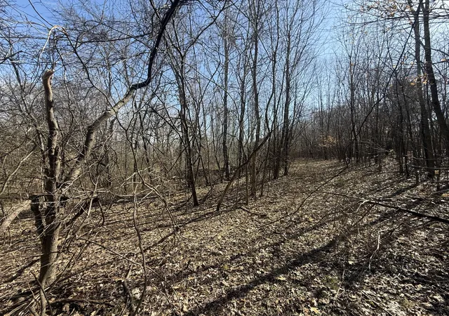 3rd image of 0 Epps Rd, Southside, TN 37171 | MLS# 3271964