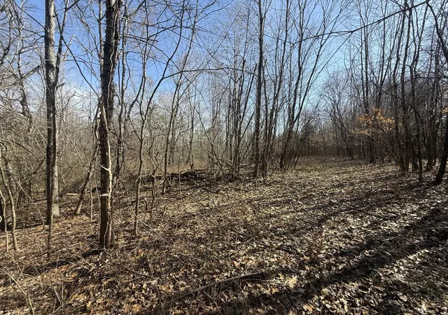 4th image of 0 Epps Rd, Southside, TN 37171 | MLS# 3271964