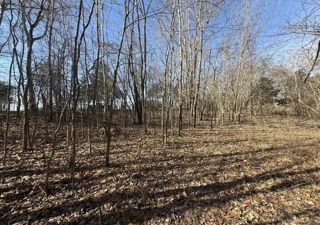 5th image of 0 Epps Rd, Southside, TN 37171 | MLS# 3271964