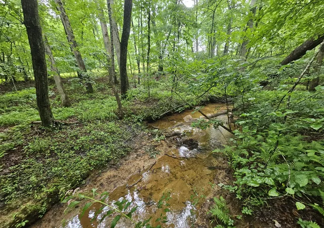 Photo 1 of Land for sale at 2411 Sr 56, Tracy City, TN 37387 | MLS# 3271996 | Listing updated on 2026-10-07