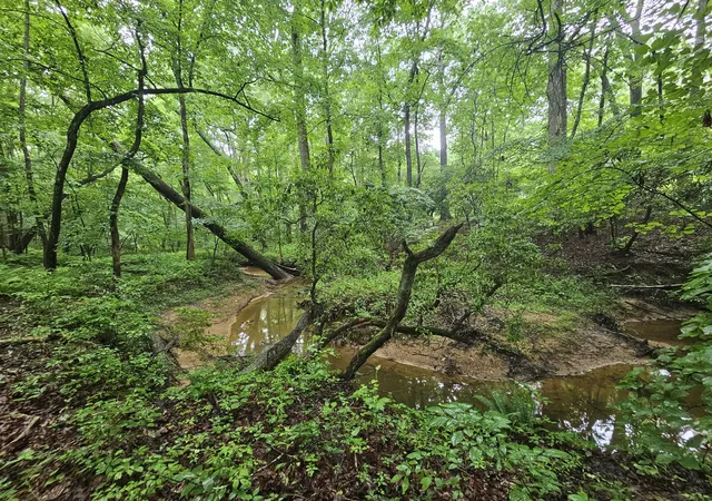 Photo 4 of Land for sale at 2411 Sr 56, Tracy City, TN 37387 | MLS# 3271996 | Listing updated on 2026-10-07