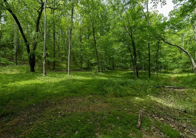 4th image of 0 Billy Wynn Rd, Dickson, TN 37055 | MLS# 3272066