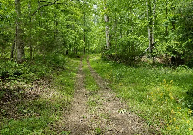44th image of 0 Billy Wynn Rd, Dickson, TN 37055 | MLS# 3272066