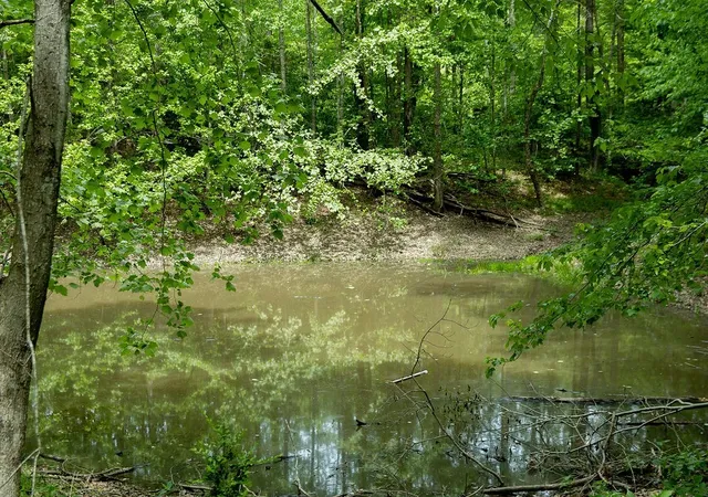 5th image of 0 Billy Wynn Rd, Dickson, TN 37055 | MLS# 3272066