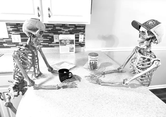 Photo 1 of Single family home for sale at 1848 Kaitlyn Virginia Ct, Clarksville, TN 37042 | MLS# 3272091 | Listing updated on 2026-10-16