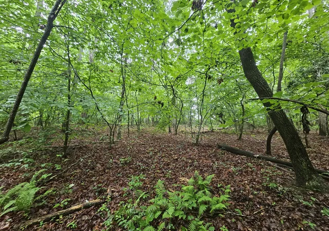 3rd image of 2411 Sr 56, Tracy City, TN 37387 | MLS# 3272086