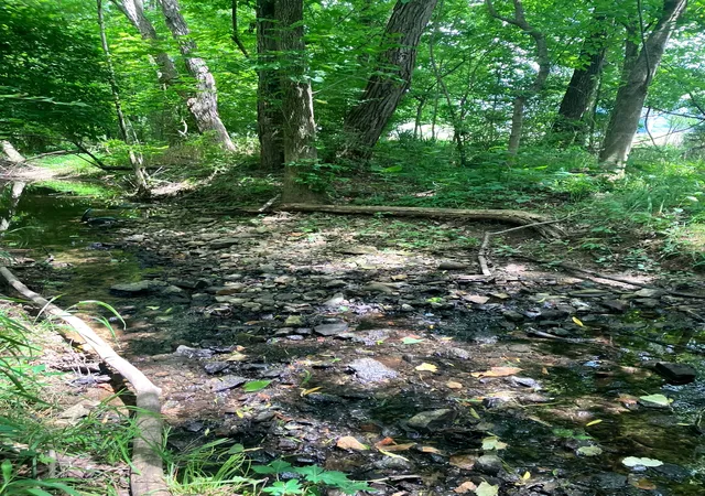 17th image of 0 Township Dr, Hendersonville, TN 37075 | MLS# 3272107