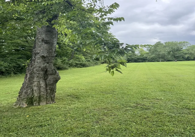 Photo 1 of Land for sale at 107 Tyne Bay Dr, Hendersonville, TN 37075 | MLS# 3277659 | Listing updated on 2026-08-20