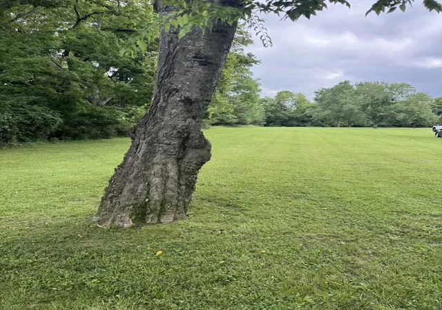 Photo 3 of Land for sale at 107 Tyne Bay Dr, Hendersonville, TN 37075 | MLS# 3277659 | Listing updated on 2026-08-20