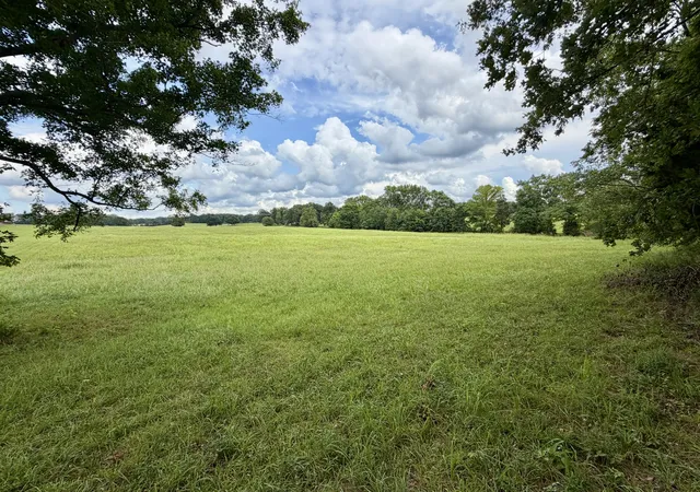 Homes for sale in Tennessee Ridge, TN | 0 Cooley Ford Rd, Tennessee Ridge, TN 37178 | MLS# 3276551