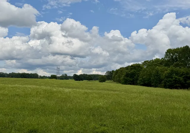 Homes for sale in Tennessee Ridge, TN | 0 Cooley Ford Rd, Tennessee Ridge, TN 37178 | MLS# 3276551
