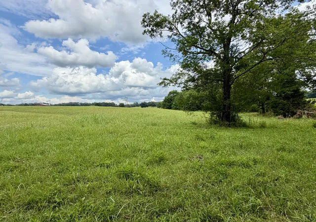 Homes for sale in Tennessee Ridge, TN | 0 Cooley Ford Rd, Tennessee Ridge, TN 37178 | MLS# 3276551