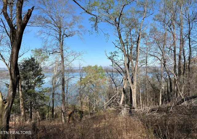2nd image of 38 Johnson Lane, Ten Mile, TN 37880 | MLS# 3272244
