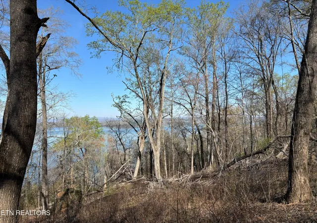 3rd image of 38 Johnson Lane, Ten Mile, TN 37880 | MLS# 3272244
