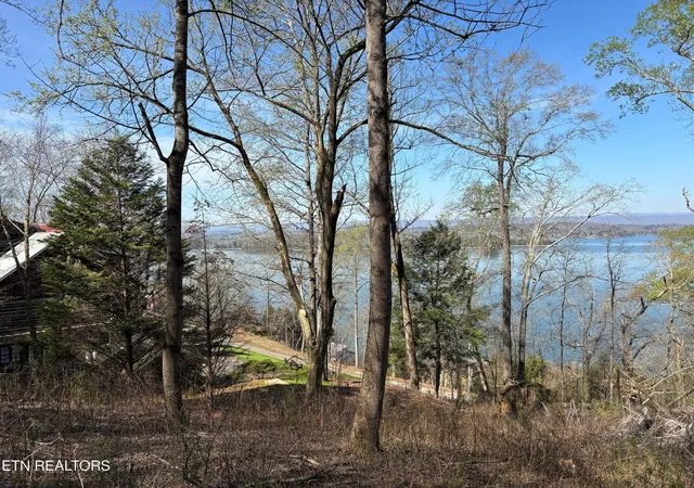 4th image of 38 Johnson Lane, Ten Mile, TN 37880 | MLS# 3272244