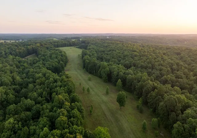 2nd image of 0 Shoals Branch Rd, Primm Springs, TN 38476 | MLS# 3272260