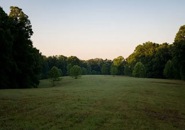 1st image of 0 Shoals Branch Rd, Primm Springs, TN 38476 | MLS# 3272260