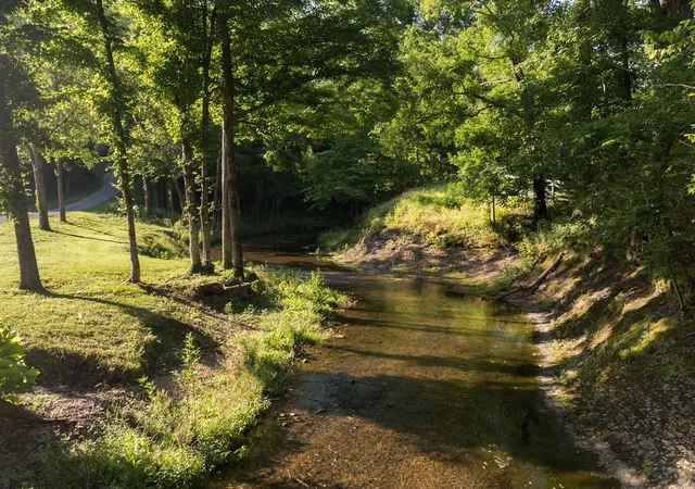3rd image of 0 Shoals Branch Rd, Primm Springs, TN 38476 | MLS# 3272260