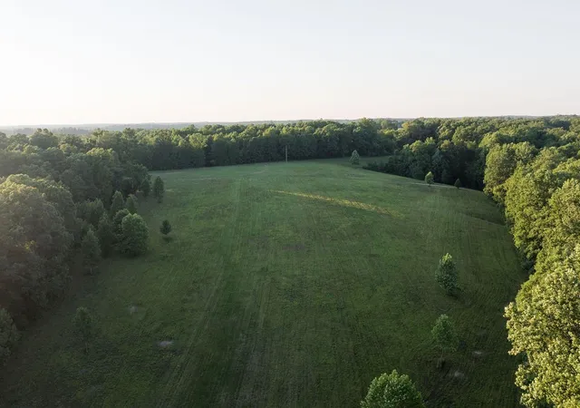 4th image of 0 Shoals Branch Rd, Primm Springs, TN 38476 | MLS# 3272260