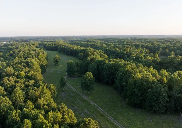 5th image of 0 Shoals Branch Rd, Primm Springs, TN 38476 | MLS# 3272260