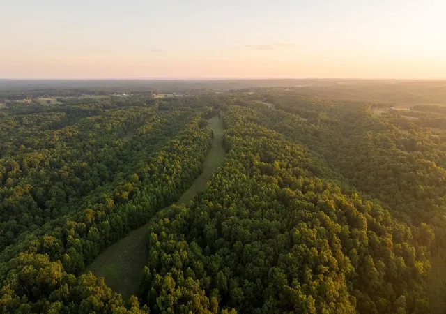 87th image of 0 Shoals Branch Rd, Primm Springs, TN 38476 | MLS# 3272260
