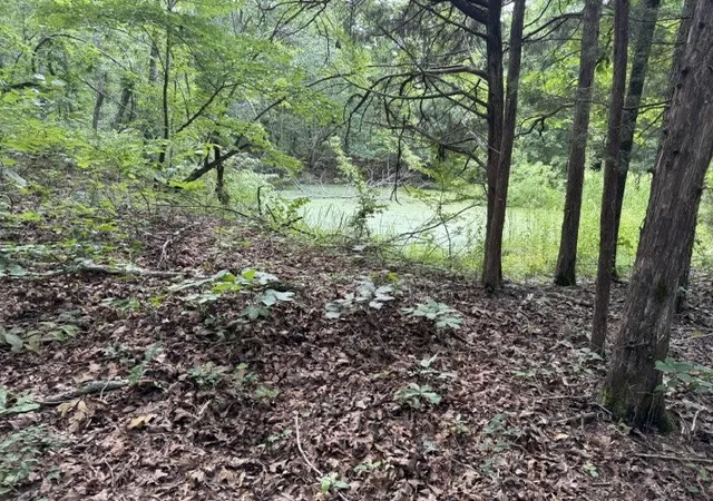 14th image of 1757 Linden Hwy, Hohenwald, TN 38462 | MLS# 3272289
