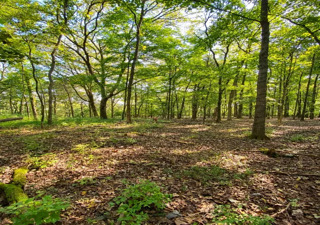 Land for sale at 0 Pawnee Trl, Madison, TN 37115 | MLS# 3272363