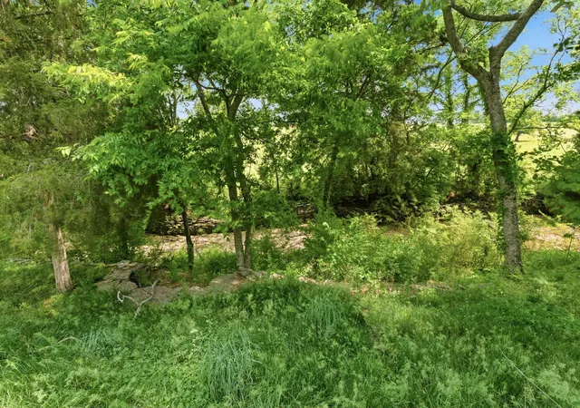 46th image of 1013 Cabriolet Ct, Gallatin, TN 37066 | MLS# 3276624